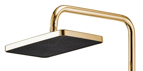Душевая система Rea Rob gold P6625