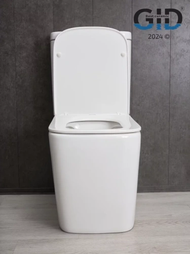 Унитаз напольный Gid Tn2180