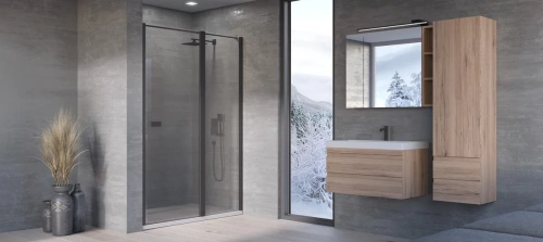 Душевая дверь Kolpa-San Andromeda N 160 black transparent 516800