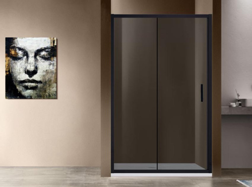 Душевая дверь Vincea Garda VDS-1G120CGB