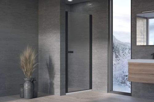 Душевая дверь Kolpa-San Andromeda N 80 black transparent 516750