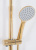 Душевая система Rea Aldi Gold P8802 Душевая система Rea Aldi Gold P8802