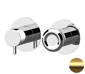 Смеситель для душа Remer Element ET92ZPBG, золото брашированное