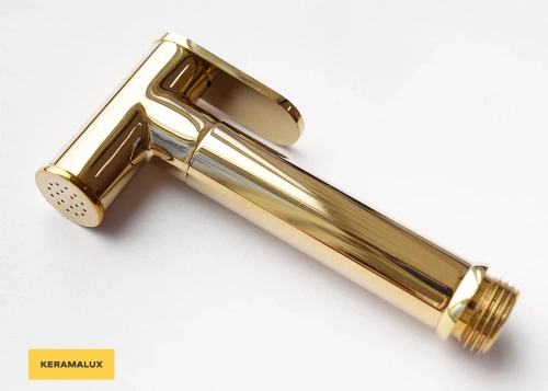 Лейка CeramaLux KRL/002 золото светлое