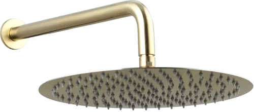 Верхний душ с кронштейном Caprigo 98-524-brg