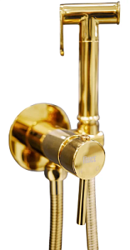 Гигиенический душ Vivi Felice 2515 ORO