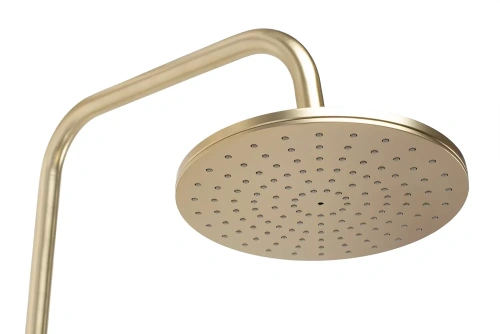 Душевая система Rea Parot gold matt P2323