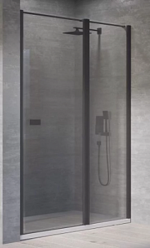 Душевая дверь Kolpa-San Andromeda N 120 black transparent 516780