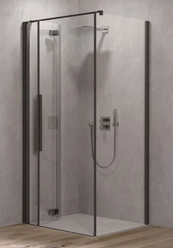 Душевая дверь Kolpa-San Polaris Fold D 100-L black transparent 516280