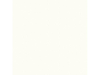 Столешница из постформинга 1000*485 (белый) толщина 38мм