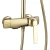 Душевая система Rea Rebel gold P2413