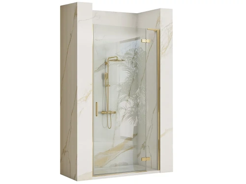 Душевая дверь Rea Hugo Gold brush 100 K8413