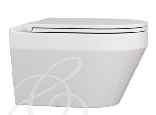 Сиденье для унитаза Caprigo POLO POL-1403